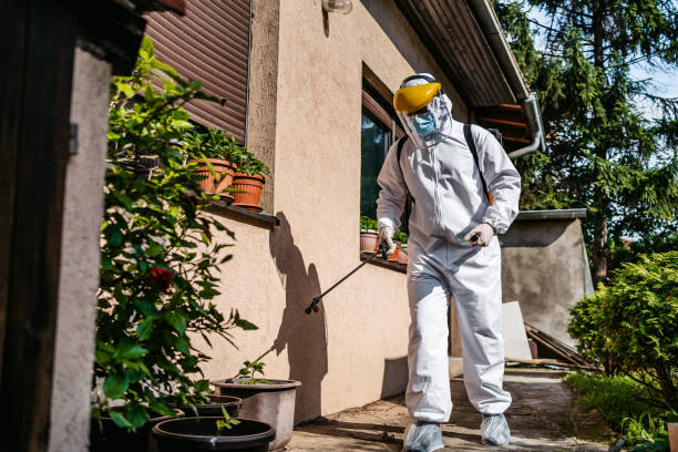 Best Residential Pest Control  in Hallettsville, TX