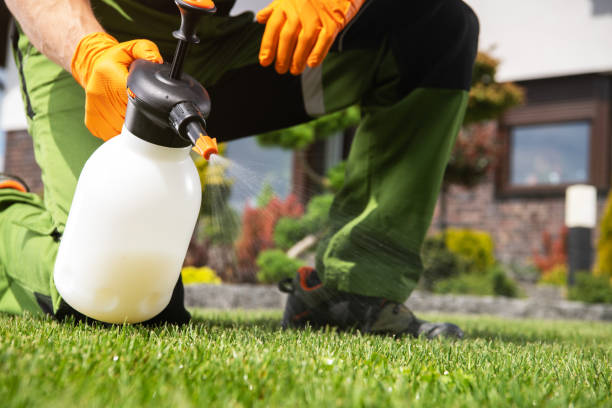 Best Exterminator Services  in Hallettsville, TX