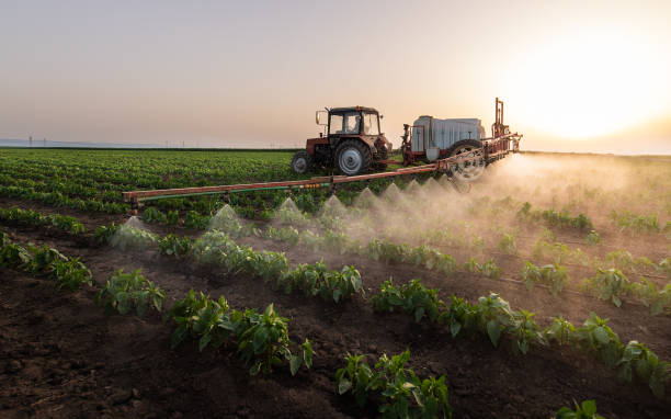 Best Pest Inspection Near Me  in Hallettsville, TX