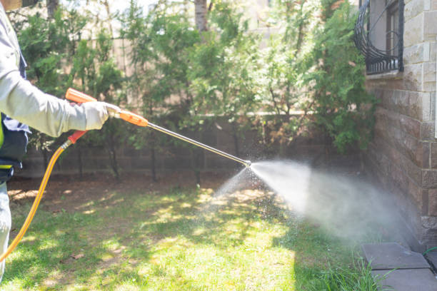 Best Pest Prevention Services  in Hallettsville, TX