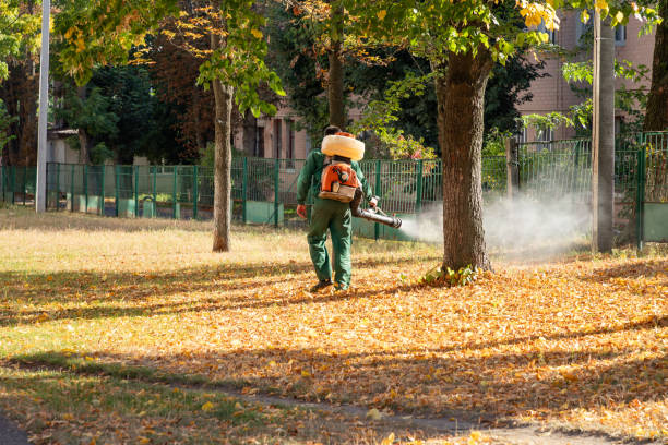 Best Best Pest Control Companies  in Hallettsville, TX